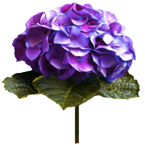 110---LP0d4jW.png