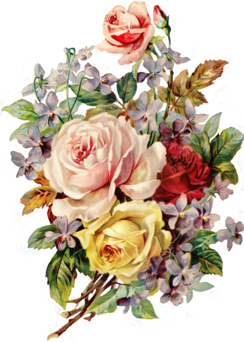119---AevW61t.png
