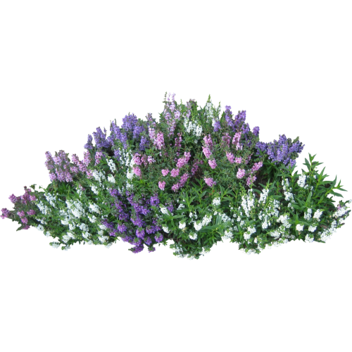 27---TDsXbq4.png