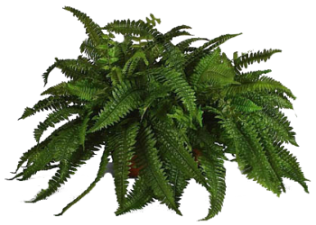 30---4CF3QxR.png