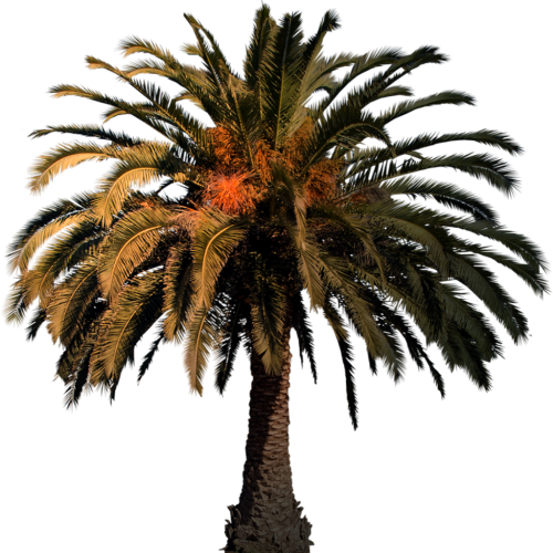 63---JqMqW8q.png