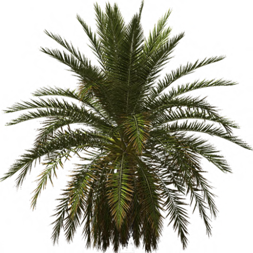 65---qnMBnE8.png
