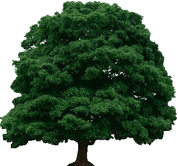 67---MjDqRvt.png