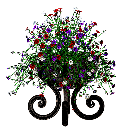 8---ebS7Pgx.png