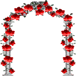 89---CBODtPp.png